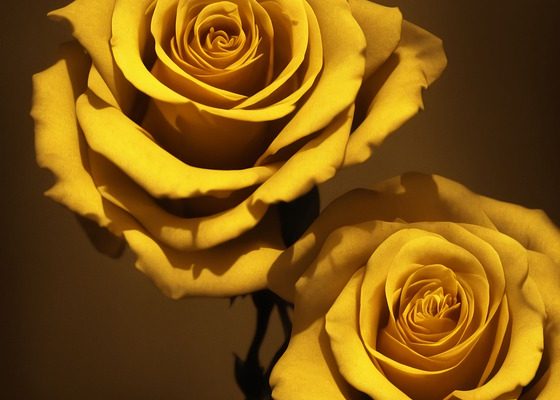 Releasing the Power of AI Technology