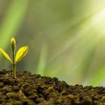 Discovering Creative Possibilities with AI Technology